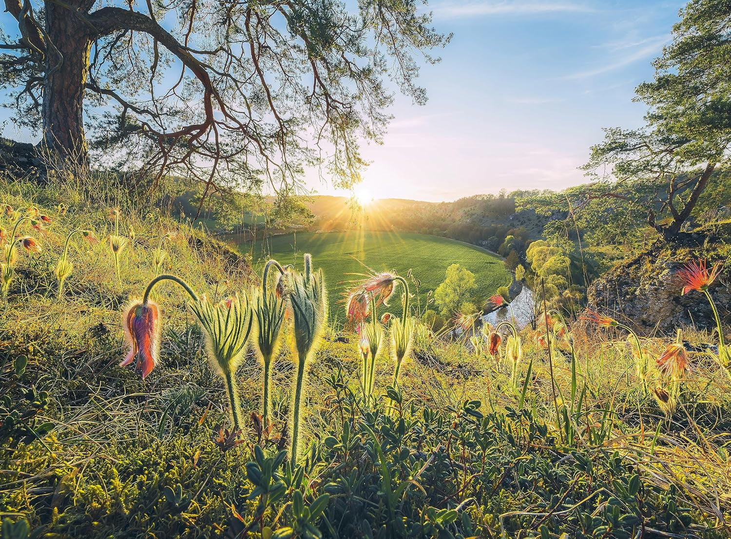 Ravensburger Puzzle - 4 Seasons - 4X 500 piece jigsaw puzzle for adults and children aged 12+ Puzzle Naty Shop