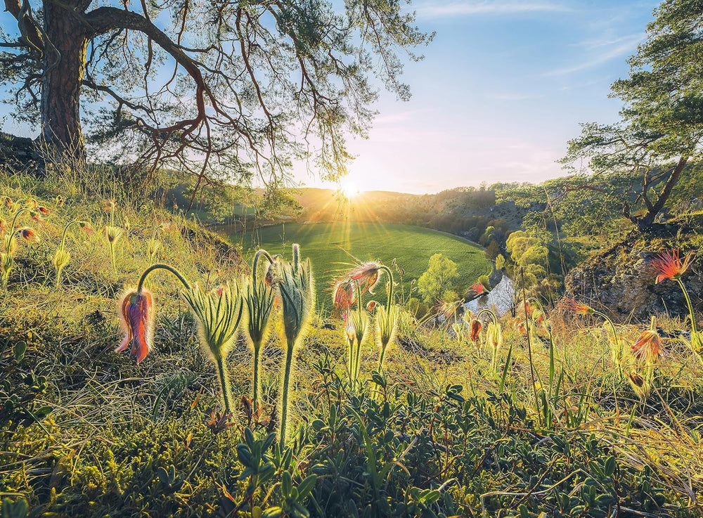 Ravensburger Puzzle - 4 Seasons - 4X 500 piece jigsaw puzzle for adults and children aged 12+ Puzzle Naty Shop