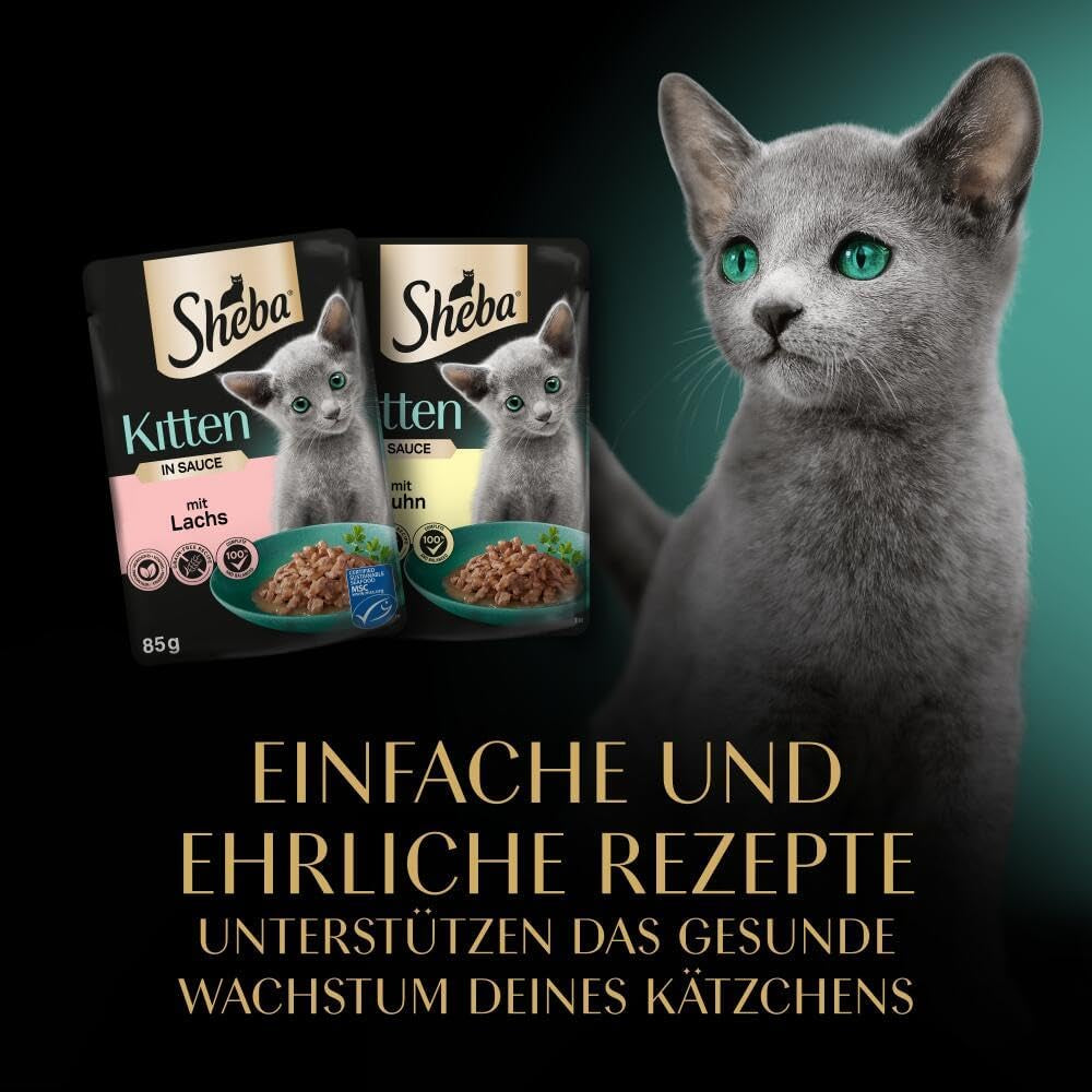 Hrană umedă Sheba pentru pisoi, în pliculețe variate, cu somon (MSC) și pui în sos, pachet multiplu 40x85g