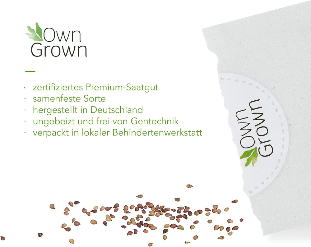 Balkon Tomaten Samen Für Ca 5X Tomaten Pflanze Theo : Premium Tomatensamen Für Kinder Und Erwachsene – Gemüse Samen – Garten Und Balkontomaten Samen – Gemüse Saatgut Für Kids – Saatgut Balkon Owngrown
