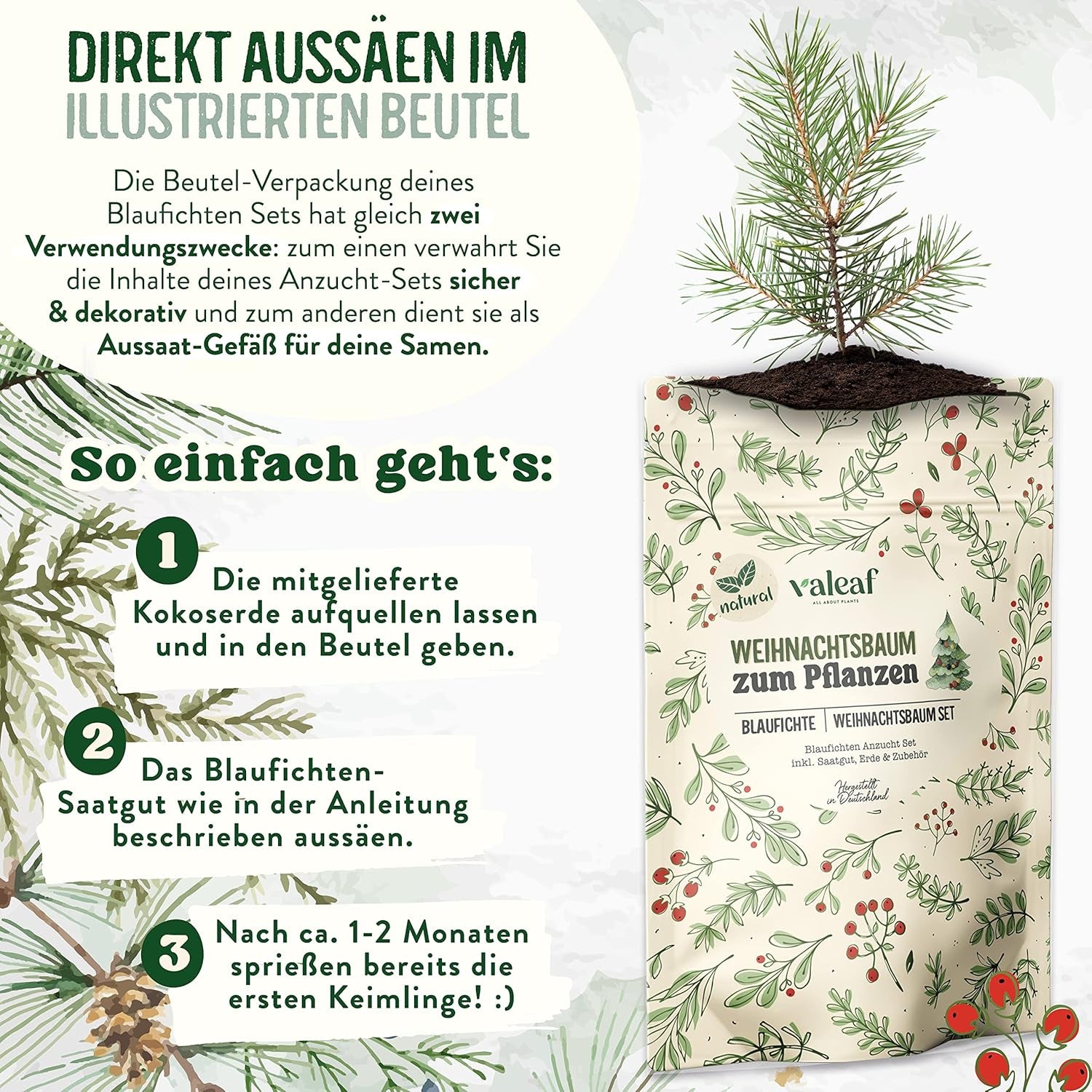 Weihnachtsbaum Anzucht Set I Tolle Geschenk-Idee, Wichtelgeschenke Weihnachten, Nikolausgeschenke Und Garten Geschenke I Weihnachtsbaum Aus Der Dose (Blaufichte 3)