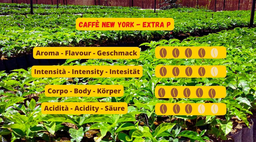 New York Coffee - EXTRA P - Boabe de cafea, gust puternic și hotărât, boabe Arabica și Robusta, pentru măcinare, espresso italian, amestec de bar - calitate superioară din 1930 - 1 kg, boabe