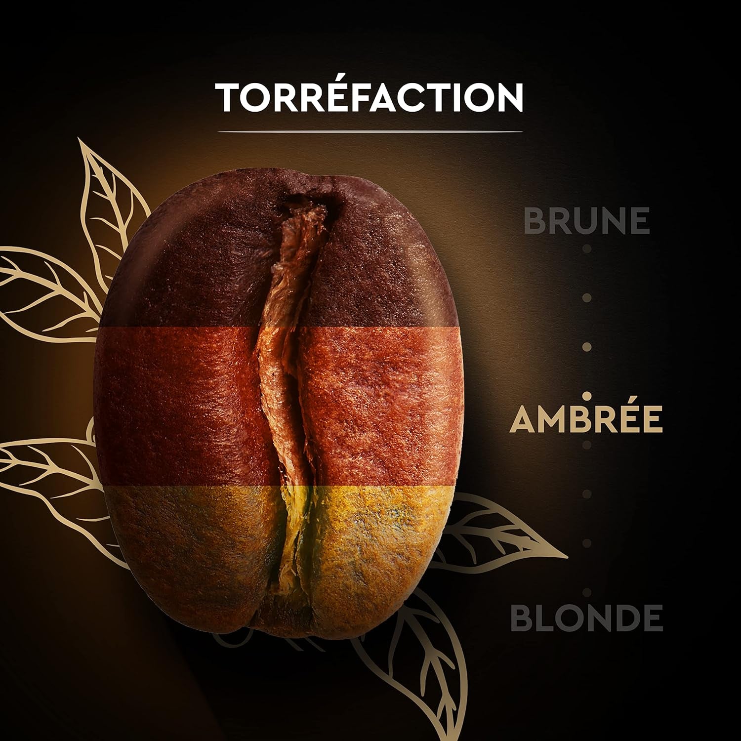 Black Card - Cafea în boabe - Clasică - Arabica pură - Certificată Rainforest Alliance - 2 pliculețe a câte 1 kg fiecare