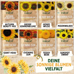 Set de semințe de floarea-soarelui - 8 varietăți de semințe de floarea-soarelui - Semințe de floarea-soarelui într-un set practic de plantare - Semințe de flori de vară, amestec de flori sălbatice - Semințe de flori pentru plantare
