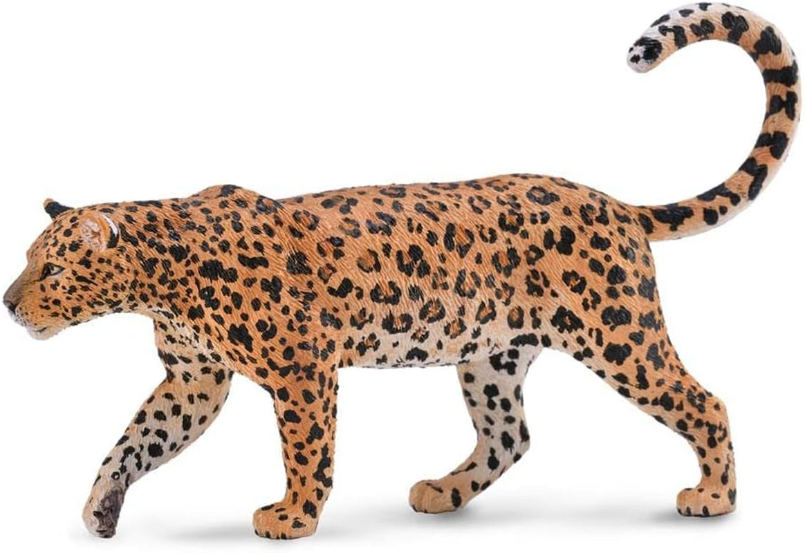 Collecta - Leopard african (88866) Action figures Naty Shop