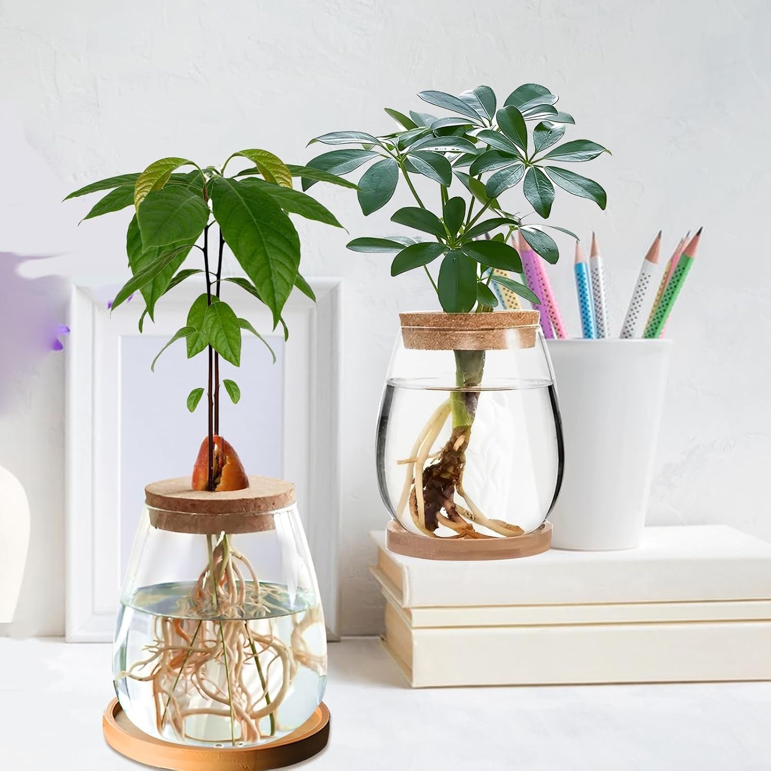 Hydroponic Plant Grow Station 12x11cm Avocado Seed Vase Glass Planter Hydroponic Glass Vase for Aquatic Plants or Flowers Desk Table Decor 2pcs