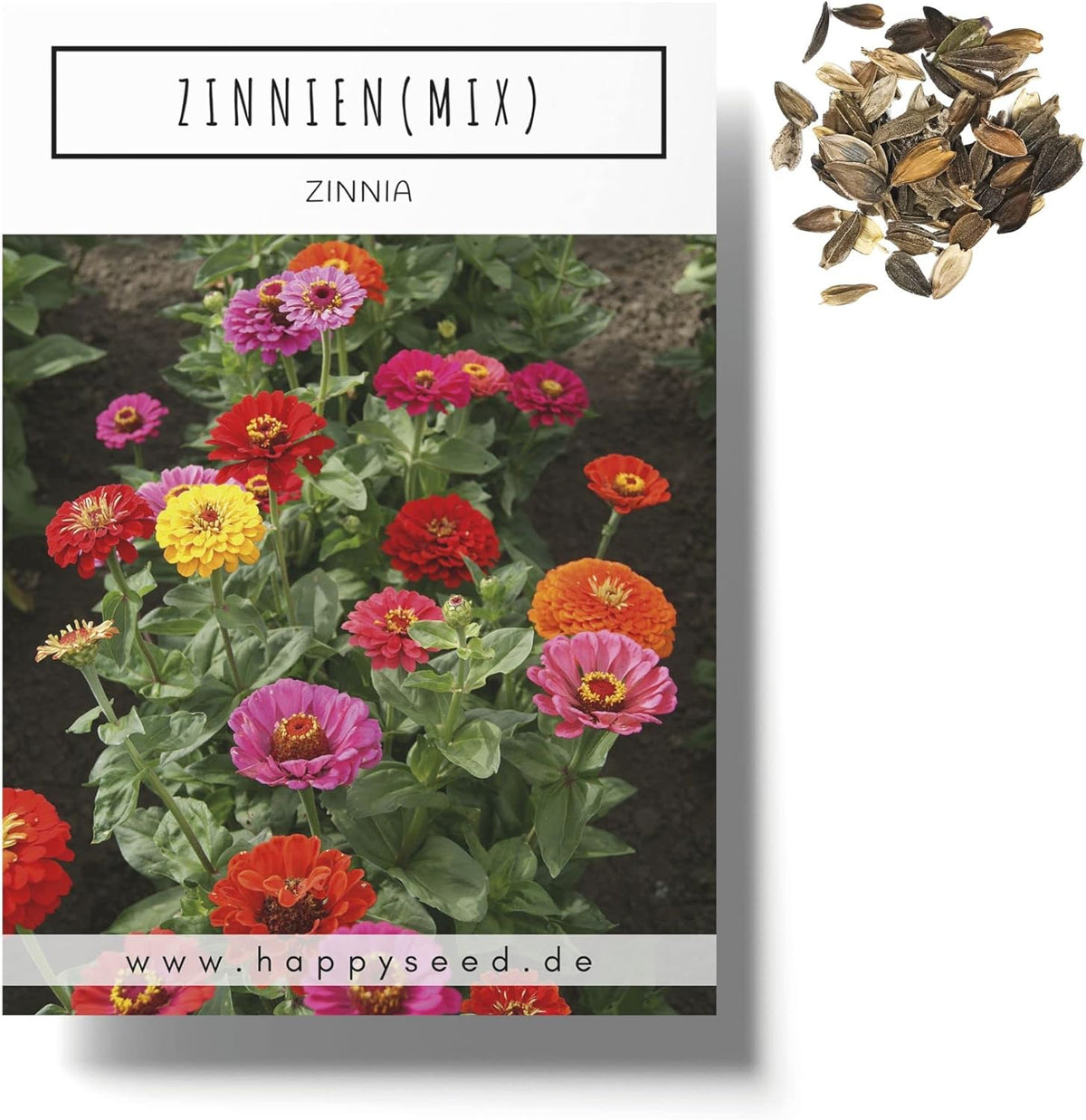 Zinnia seed mix (Zinnia) - Colorful summer flowers for the garden bed, balcony, terrace and as cut flowers in vases
