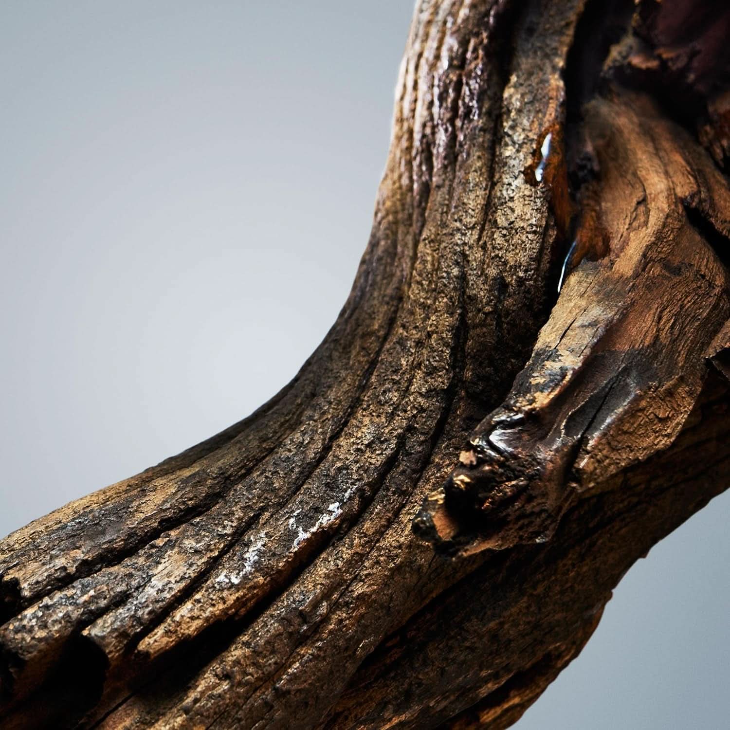 BOSS , gel de duș, parfum oriental lemnos pentru bărbați cu note de scorțișoară și mosc, 150 ml Duș și baie Naty Shop