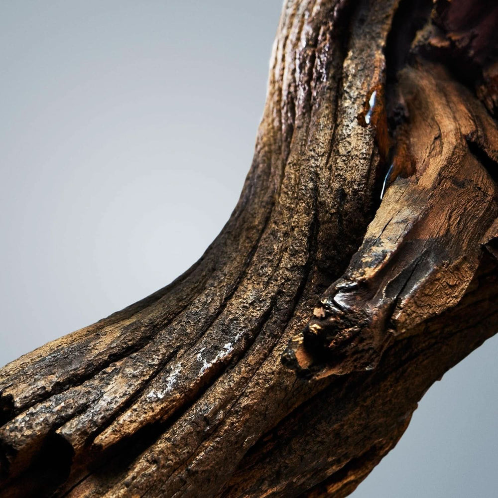 BOSS , gel de duș, parfum oriental lemnos pentru bărbați cu note de scorțișoară și mosc, 150 ml Duș și baie Naty Shop