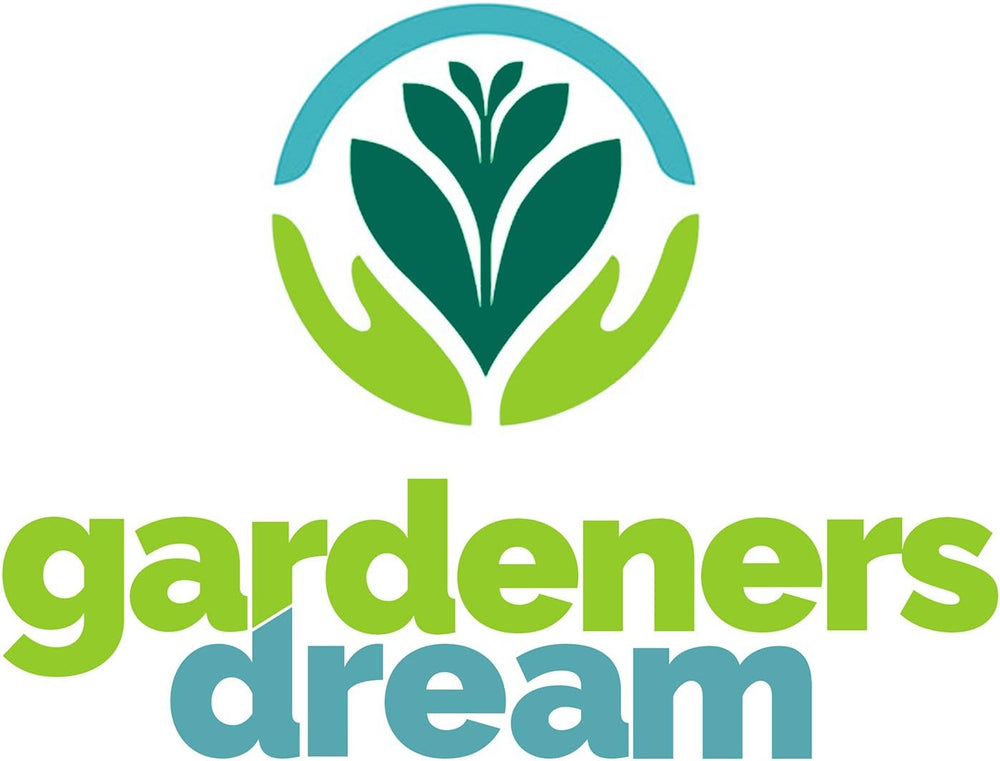 Gardeners Dream: 4 Real Tillandsia Plants - 4 Real Tillandsia Air Plants - Terrarium Plants - Decorative Terrarium Plants - Air Purifying House Plants - Decorative Plants - Real Plants