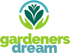 Gardeners Dream: 4 Real Tillandsia Plants - 4 Real Tillandsia Air Plants - Terrarium Plants - Decorative Terrarium Plants - Air Purifying House Plants - Decorative Plants - Real Plants