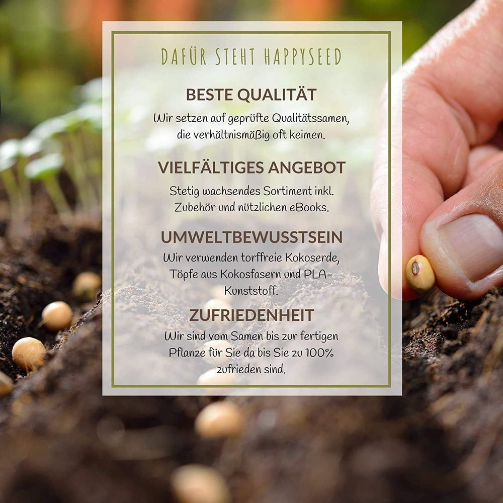 100g Wildflower Seeds for a Colorful Bee Pasture - Vibrant and Nectar Rich Wildflower Seed Blend for Bees and Butterflies (Includes FREE eBook)