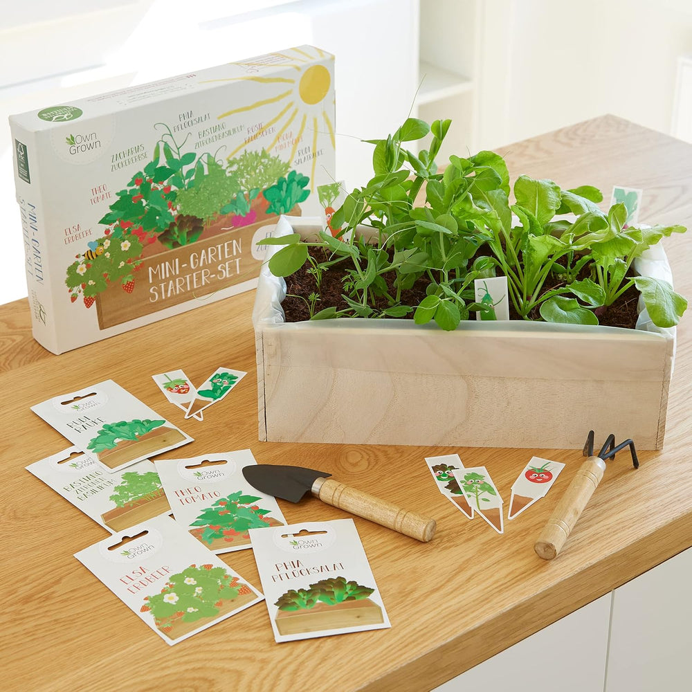 Seed Growing Kit with Wooden Box and 8 Varieties of Plant Seeds: Vegetable, Strawberry and Herb Seed Growing Kit for Kids - Mini Greenhouse and Mini Garden Starter Kit by OwnGrown