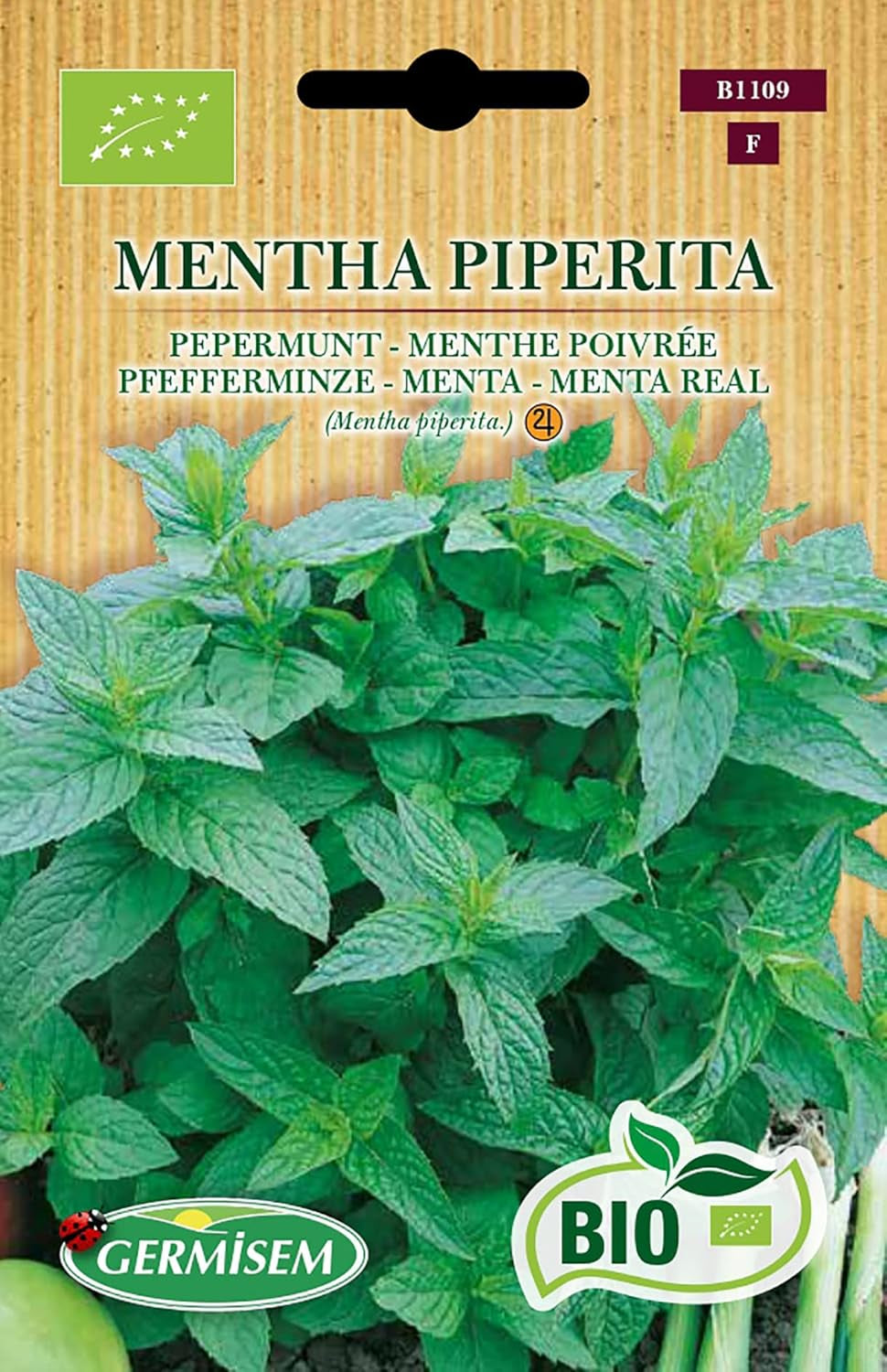 Pfefferminze MENTHA PIPERITA, ECBIO1109