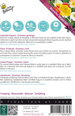 Poppy flowers Buzzy Poppy Iceland