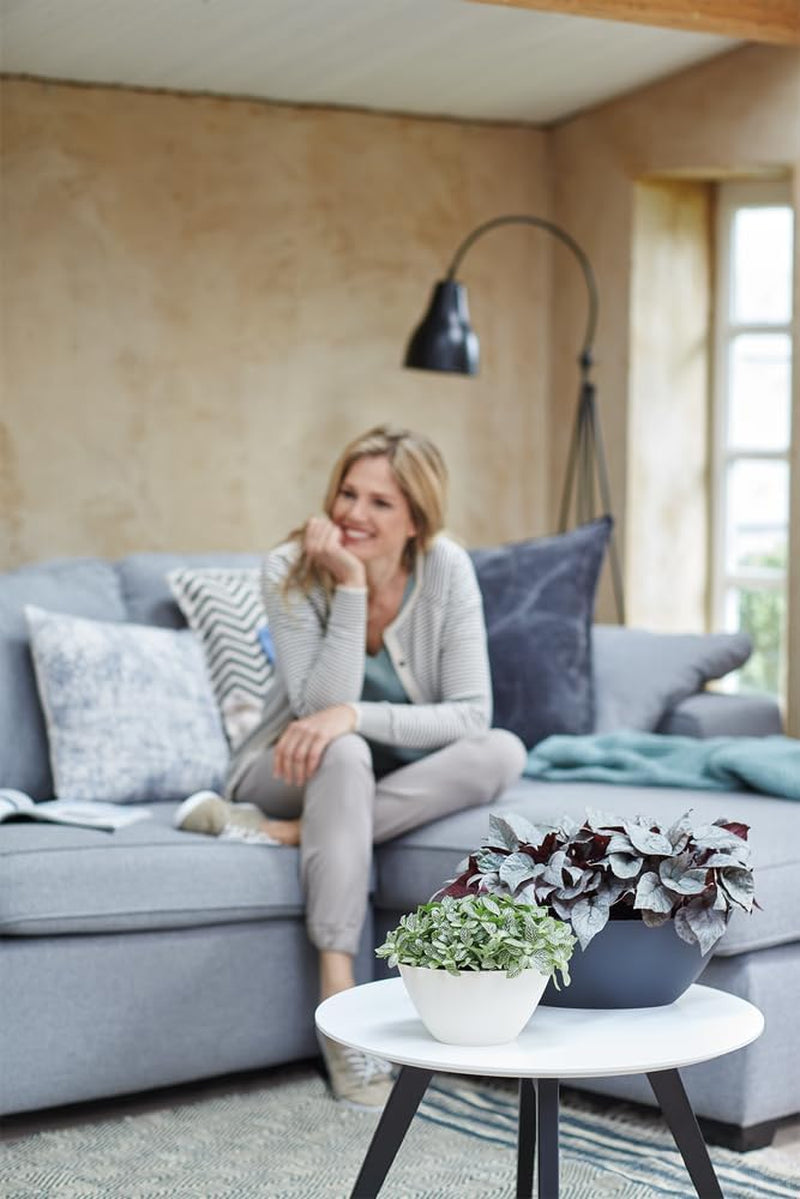 elho Brussels Oval 36 - Ghiveci de flori de interior - Ø 36,0 x Î 13,1 cm - Alb/Alb