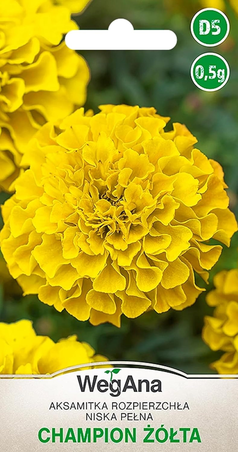 Cosmos Sensation Mix 1g seeds, Cosmos Mix Summer flowers, Garden plants Balcony plants, Flower seeds