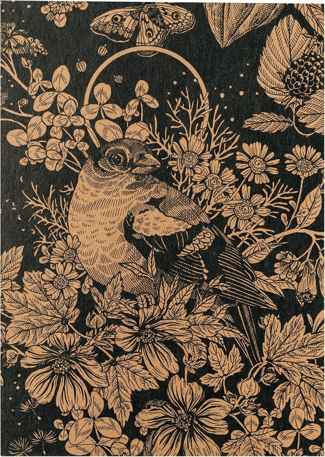 Our Favorite Plants: Perennials and Summer Flowers for Flower Lovers (Organic) - Seed Gift Set with 6 lovely varieties for a wild floral explosion - makes you happy!