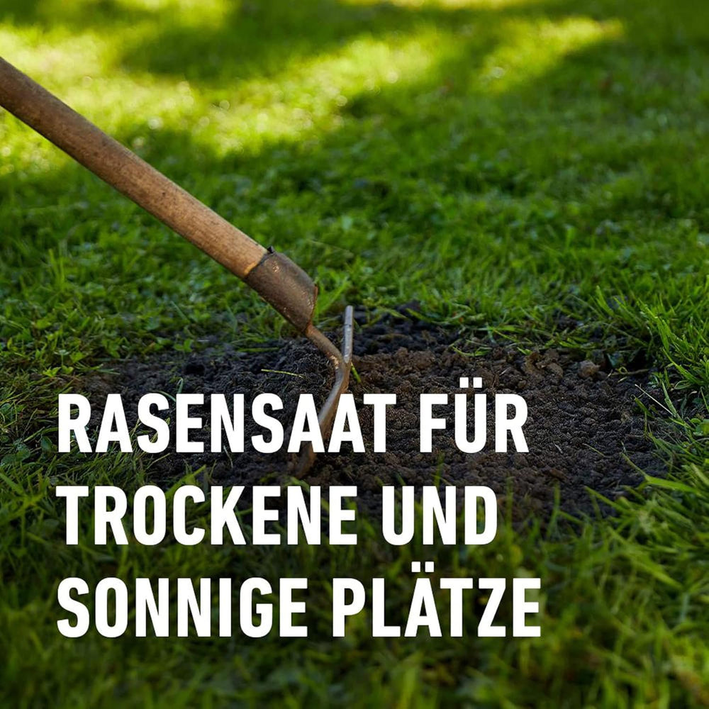 Compo SAAT® Trocken-Rasen 2Kg Für 80M²