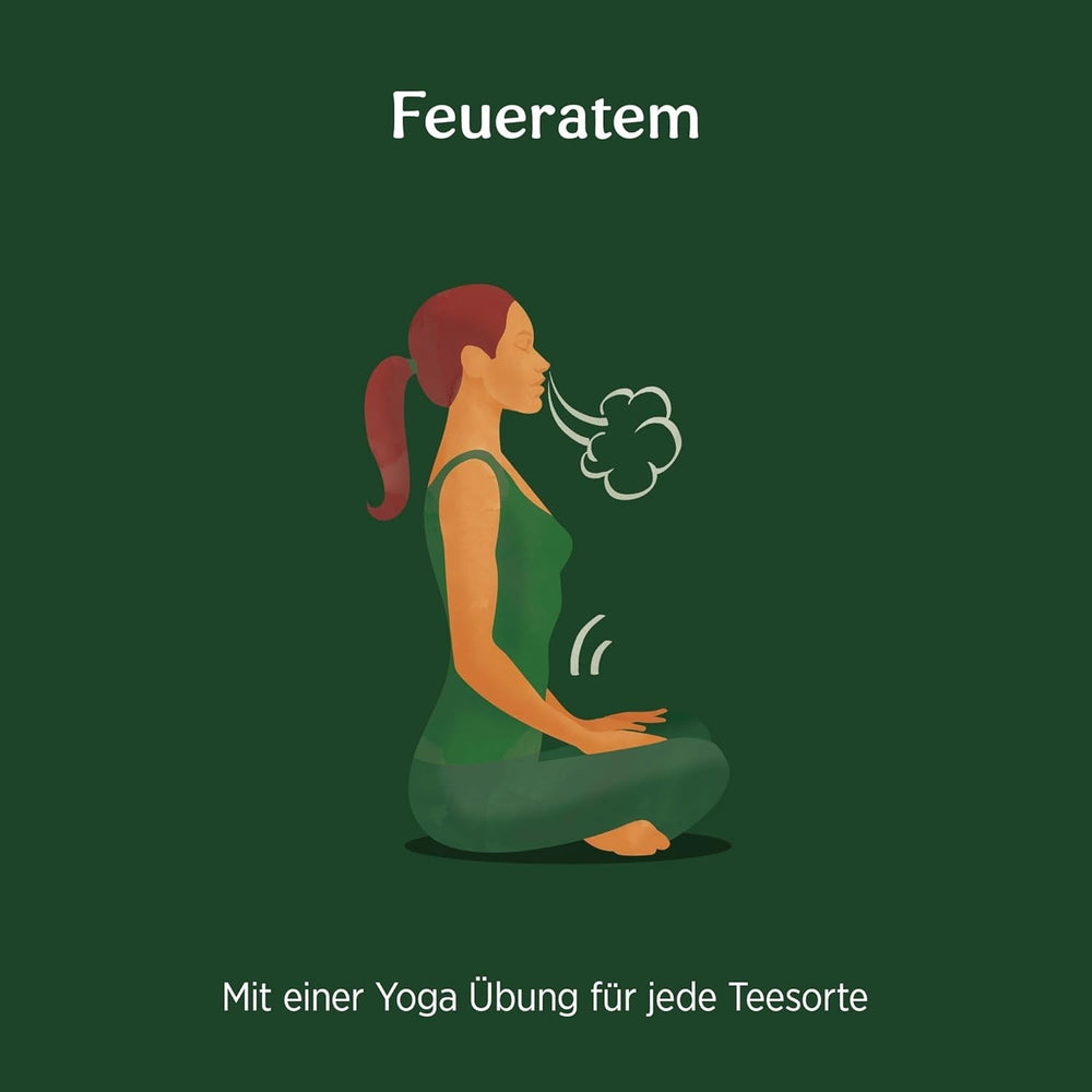 Yogi Tea Green Chai, ceai ayurvedic organic cu mirodenii, amestec de scorțișoară, mentă, ceai verde, ghimbir, cardamom și cuișoare, 6X17 pliculețe (102 pliculețe de ceai în total)