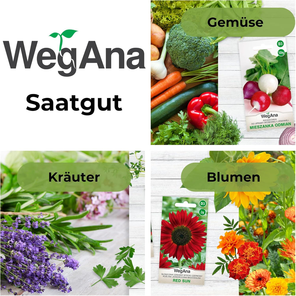 Cosmos Sensation Mix 1g seeds, Cosmos Mix Summer flowers, Garden plants Balcony plants, Flower seeds