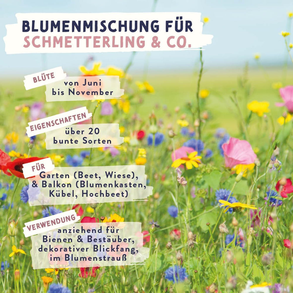 Schmetterlingswiese Blumensamen Schmetterlingsgarten I Blumensamen Balkon I Blumensamen Tütchen mit Wiesenblumen Samen I bienenfreundlich Blumensamen (Schmetterlings-Zauber mini)