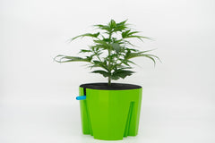 Hydro Farmer, 19-piece pot set Ø 18 cm (green), growing system including 4 pots, 4 watering rings, 4 lids, adapter set and 2 m hose, hydroponics, aeroponics