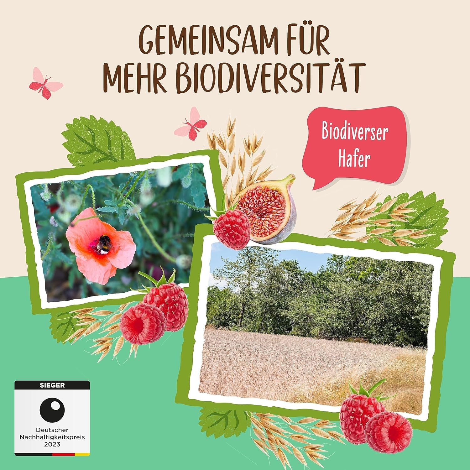 Unsweetened Fig and Raspberry Allos Porridge | Porridge without sugar | Organic Muesli | Muesli with fruit | Oatmeal | Porridge for breakfast | Cereals for breakfast | Vegan | Pack of 6 (6 x 500g)