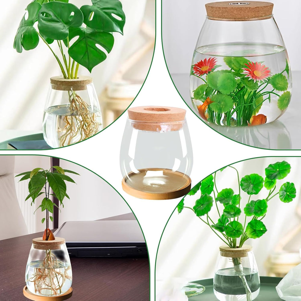 Hydroponic Plant Grow Station 12x11cm Avocado Seed Vase Glass Planter Hydroponic Glass Vase for Aquatic Plants or Flowers Desk Table Decor 2pcs