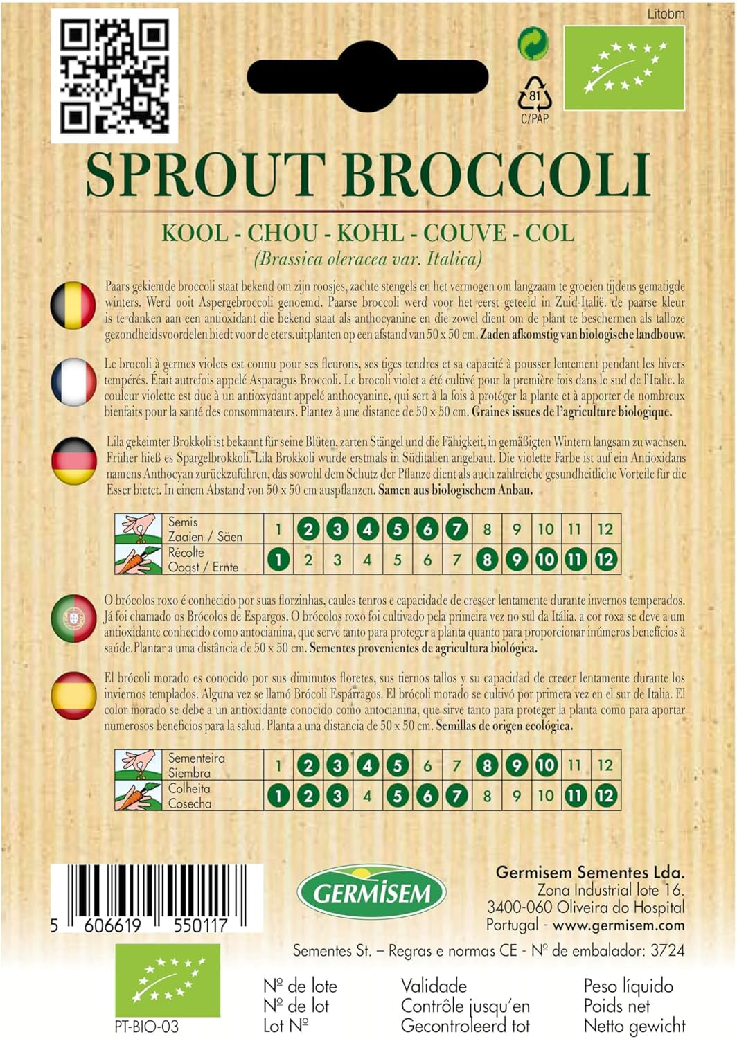 Kohl Sprout Brocccoli