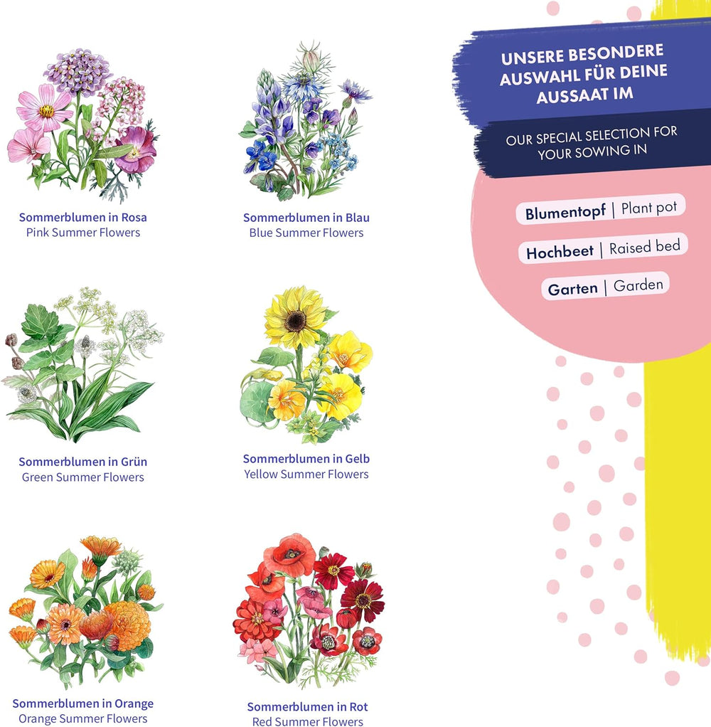 Blooming Rainbow - 6 Free Pollinated Flower Mixes - Spectacular and Colorful - Seed Set for Beginners, as a Small Gift or for Personal Use