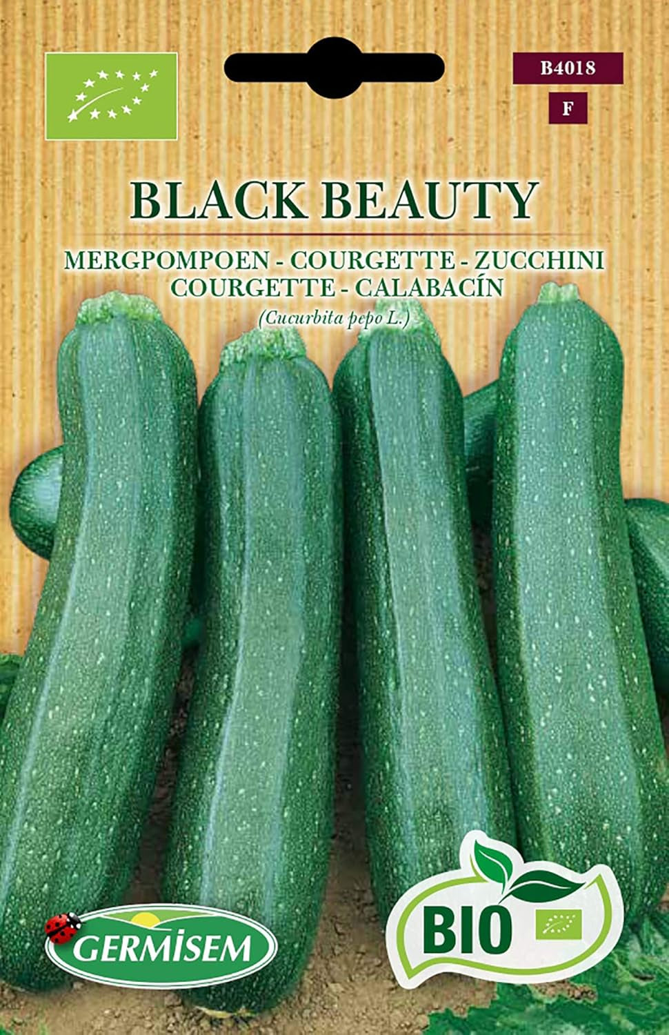 Zucchini BLACK BEAUTY, ECBIO4018