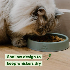 Katzennapf – Futter und Wasser Stabiler Futternapf, recycelter Kunststoff, rutschfeste Gummiunterseite, Schnurrhaar-freundlicher Futternapf, Candy Pink