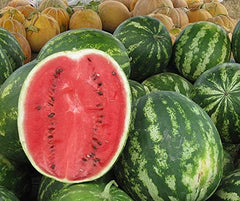 Melonensamen Crimson Sweet Wassermelone 50 Korn