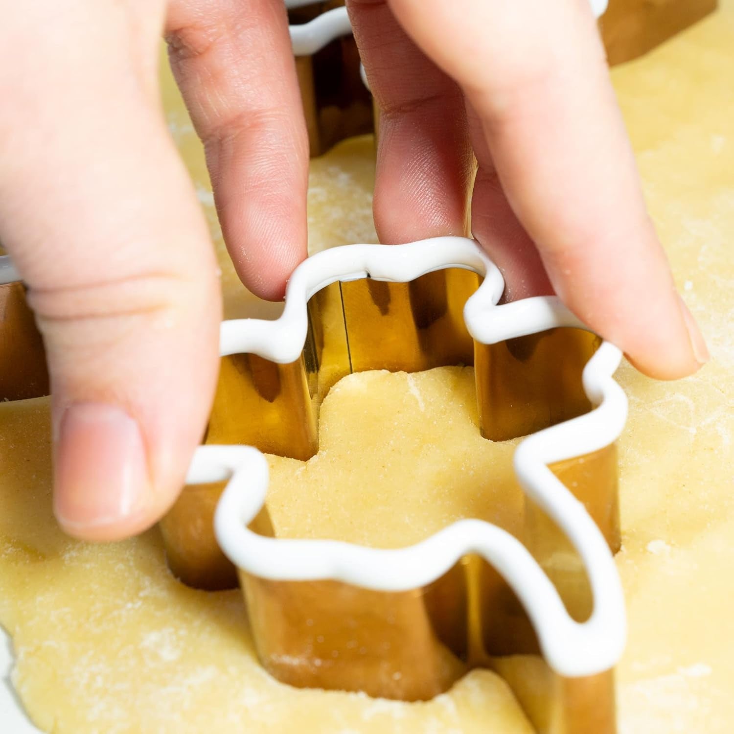 Forme de biscuiți Lurch 10546, set de 4 bucăți, model Lucky, cu model Coșar, Potcoavă, Porc, Trifoi, din oțel inoxidabil cu înveliș de silicon