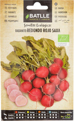 Bio Samen - Runde Rote Radieschen Saxa (120 Samen - Bio)
