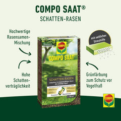 Compo SAAT Schattenrasen 1 Kg