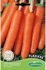 Möhren Flakkee