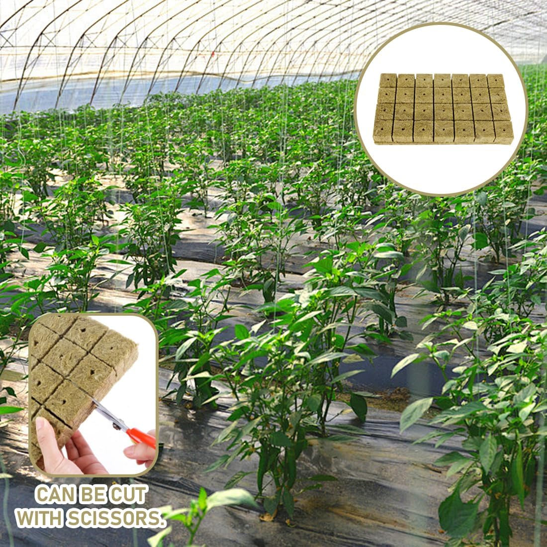 Rockwool Seedling Cubes 28 - Rockwool Cubes 4x4x4cm - Seedling Cubes, Rockwool Cubes, Hydroponic Seedling Systems/Cloned Plants/School Projects, Growing Seedlings Without Soil