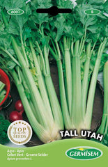 Schnittsellerie GREEN CUTTING CELERY, Mehrfarbig, EC6003