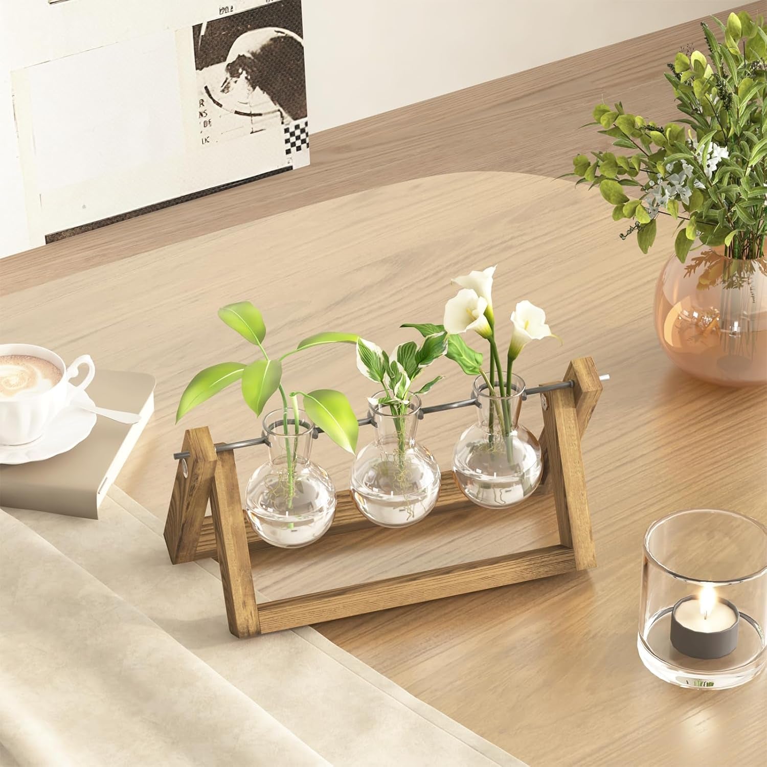 Bamworld Hydroponic Propagation Station with Wooden Stand - 3 Glass Vases for Aquatic Plant Growing and Home Decoration