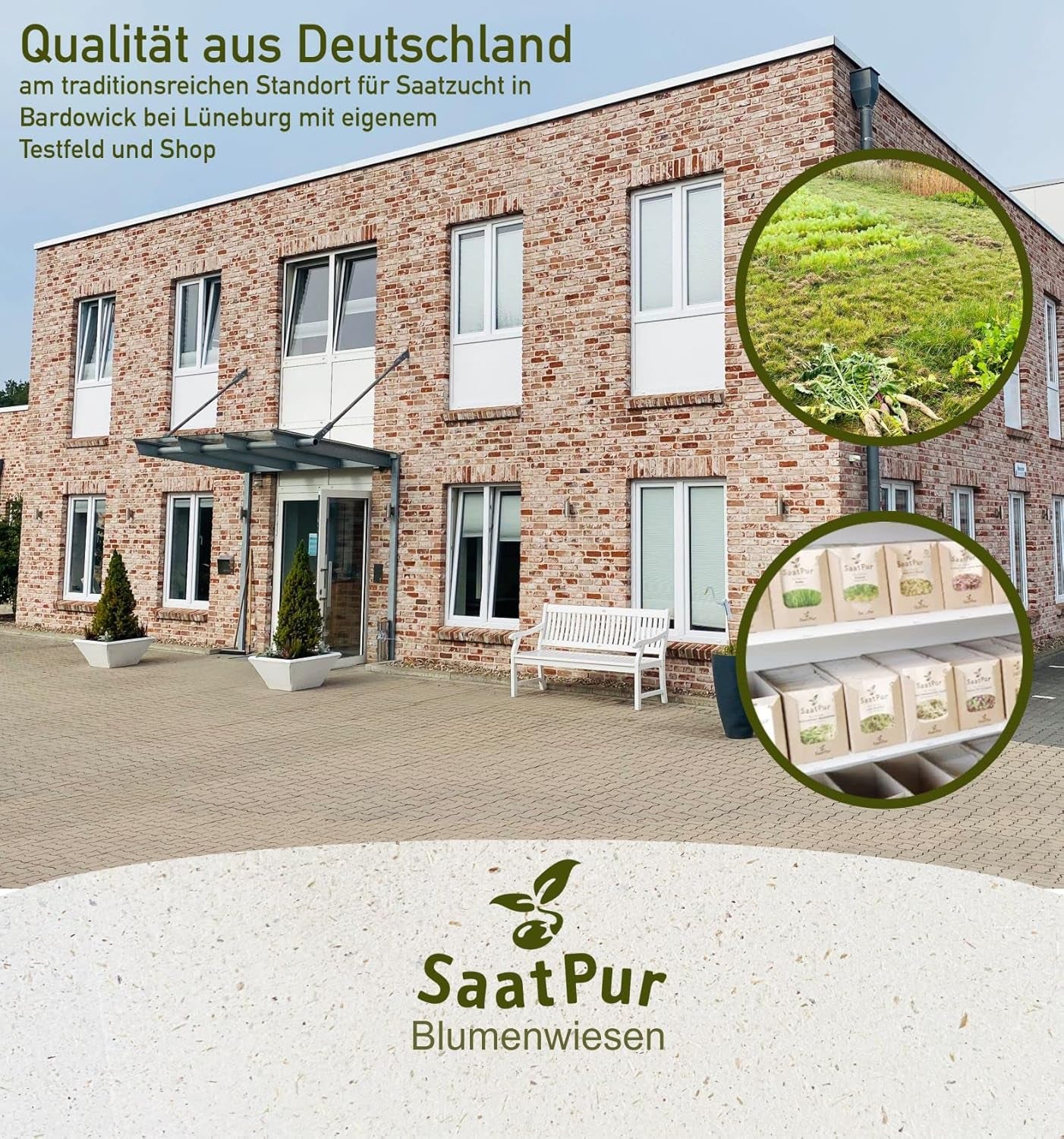 50-75 M² Schmetterlingswiese 0,5 Kg (Ohne Gras, Mit Saathelfer) – Für Sandige Standorte 500G Wildblumenmischung Blumenmischung