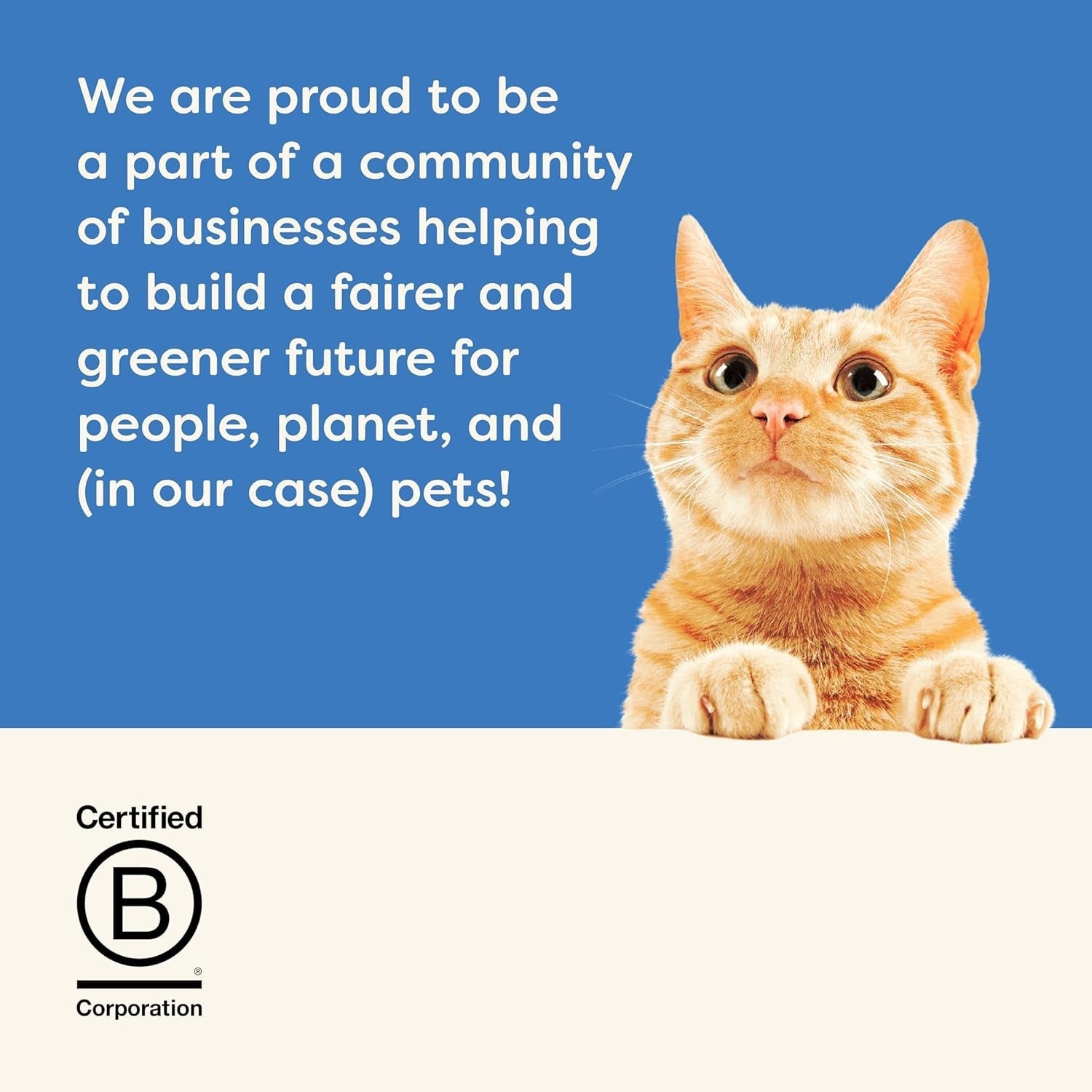 Applaws Premium Natural Wet Food For Cats, Fish Selection în Jelly 70G plicuri porție (12X70G)