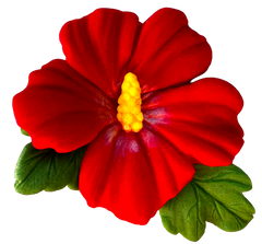 Decoratiune Delicioasă Floare De Hibiscus - Comestibilă, Dimensiune 9,5 cm, Gust Dulce Decorativ Pentru Prajituri