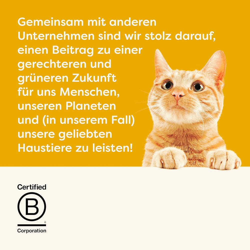 Applaws Snack cremos cu pui, fără cereale, pentru pisici și pisoi, 32 pliculețe x 15 g