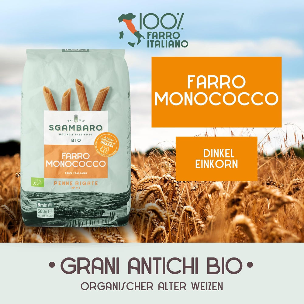 Organic Penne Rigate Pasta N.91 - 500g Low-fat wheat pasta - Source of fiber and protein