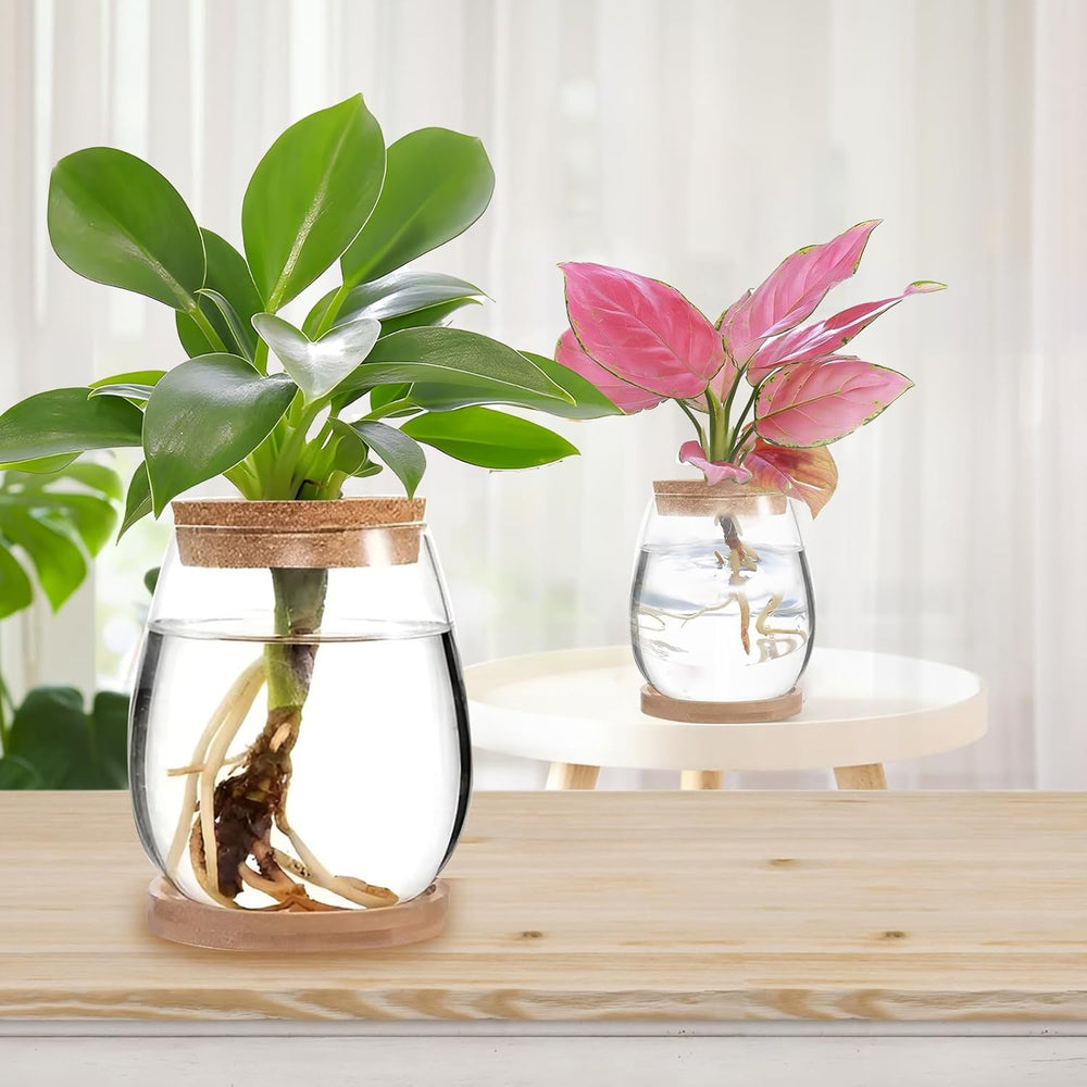 Hydroponic Plant Grow Station 12x11cm Avocado Seed Vase Glass Planter Hydroponic Glass Vase for Aquatic Plants or Flowers Desk Table Decor 2pcs