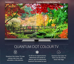 Toshiba, 43QA4163DG, 43 inch, QLED Quantum Dot Ultra HD (3840 x 2160), Asistent Google, Bluetooth, Netflix, Video, Chromecast