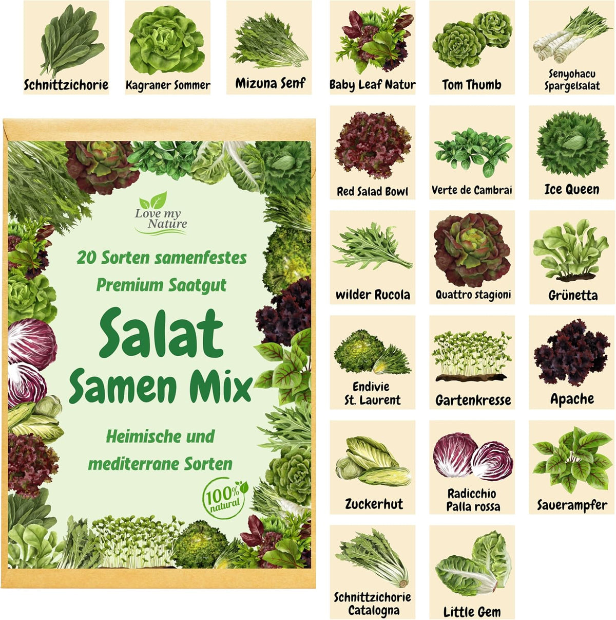 Amestec de semințe pentru salată – Set de 20 de soiuri – Culegere rapidă, tăiere și salate de iarnă – 100% natural – Fără stimulatoare de creștere – Ambalat cu dragoste – Include instrucțiuni și etichetare individuală