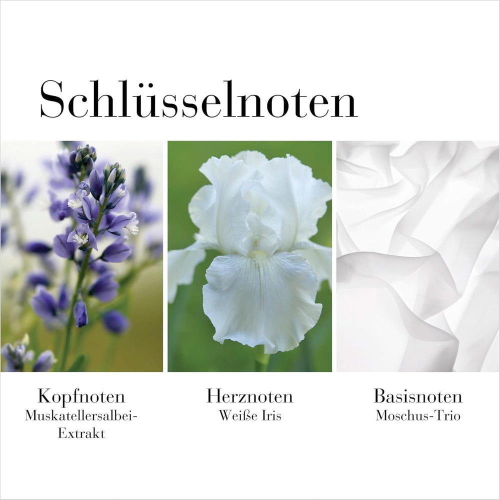 Elizabeth Arden - White Tea, Body cream, with white tea flavor, 400 ml Cosmetics and Beauty Naty Shop